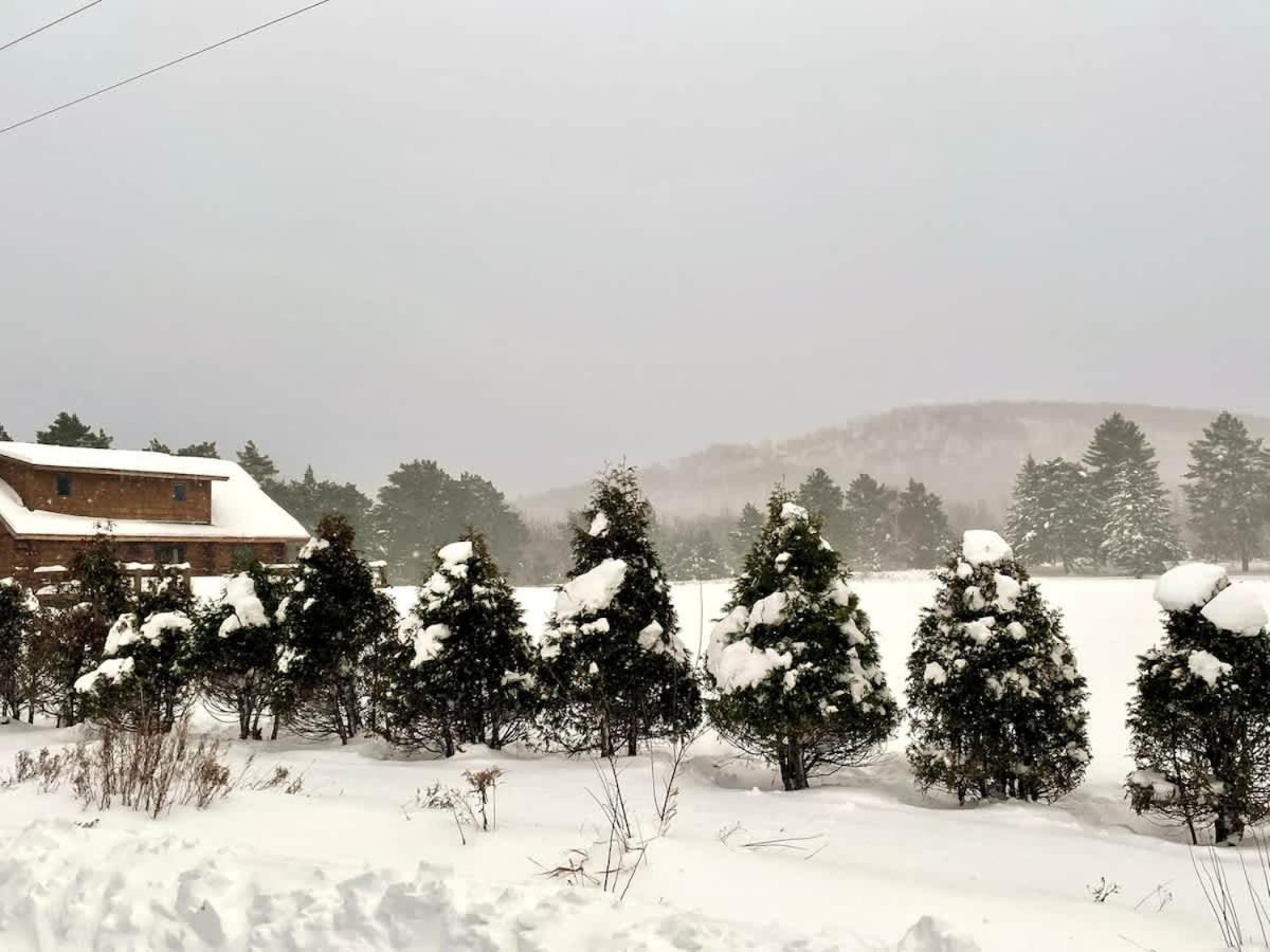 Stunning Log Cabin Getaway At The Hannu Haus ไอรอนวูด ภายนอก รูปภาพ